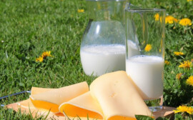 В Волгограде более 500 фермеров представили продукцию на «Агрофоруме»
