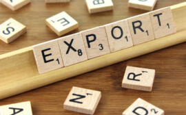 Волгоградская область наращивает экспорт аграрной продукции в Индию и Турцию