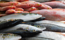 В Волгоградской области выросло производство рыбной продукции