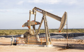 Волгоградцам предсказали рост доллара в связи с падением цен на нефть