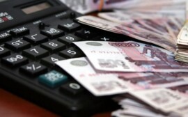 Волгоградстат: бездетные граждане тратят на себя больше денег