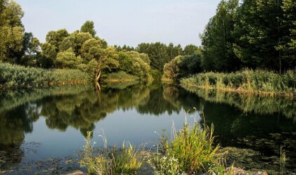 Вода Волго-Ахтубинской поймы зашла в озёра и ерики
