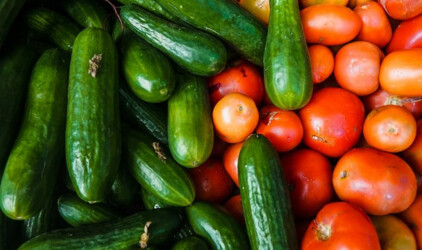 В Волгоградской области фермерские продукты появятся на полках сетевых магазинов