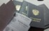 Голодец: Россия плавно перейдет на электронные трудовые книжки