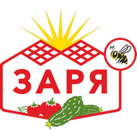 Заря